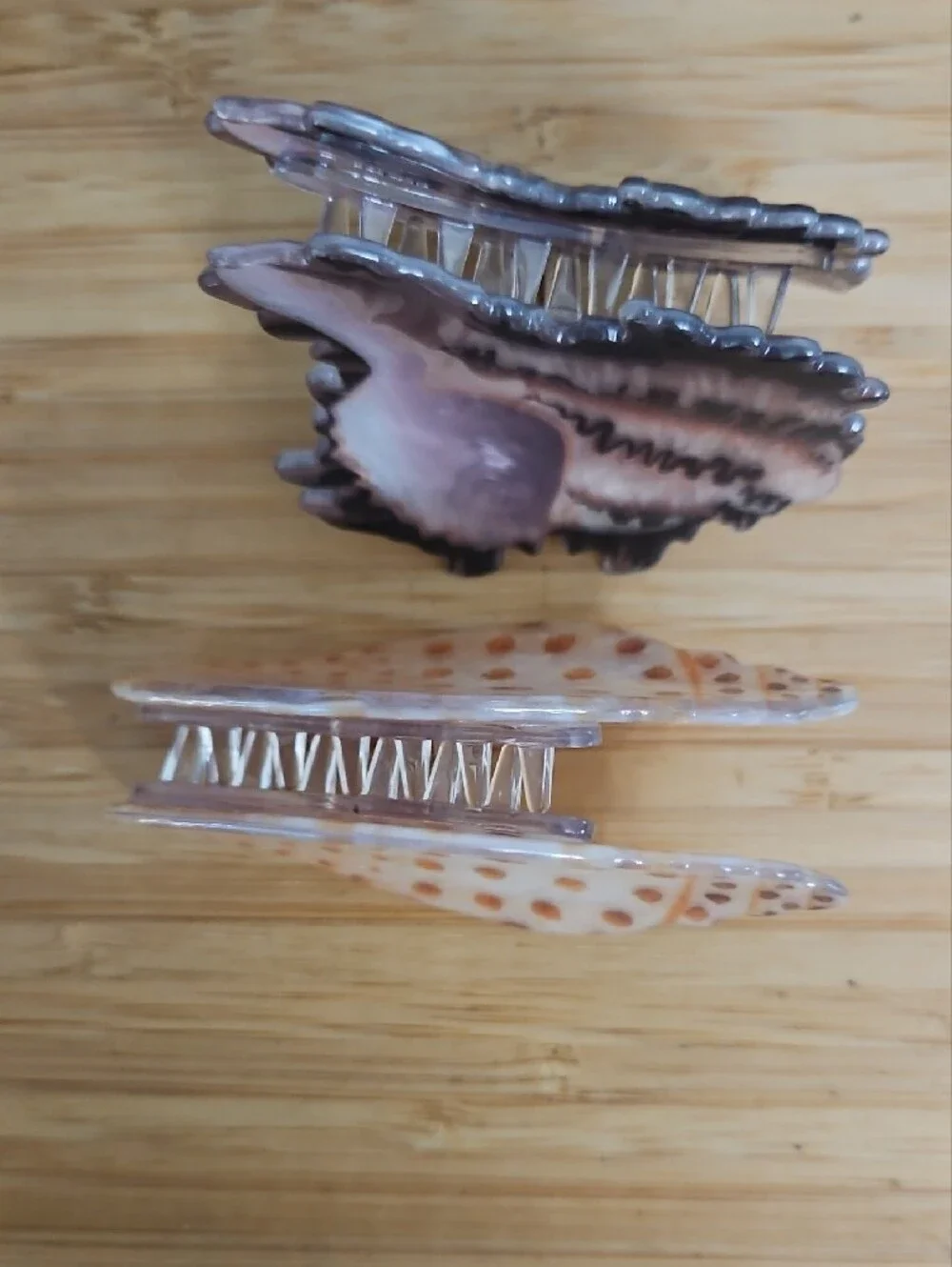 Set Of 2 - Sea Shell Claw Hair Clips